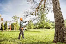 Best Lawn Maintenance Plans  in Bayville, NY