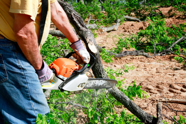 Lawn Drainage Solutions in Bayville, NY